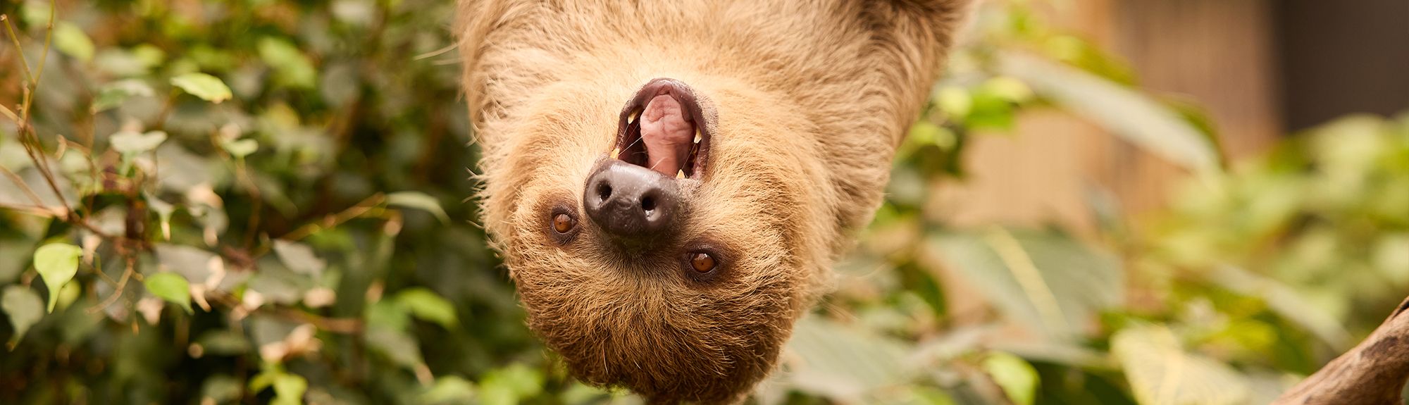 ZooParc Overloon
