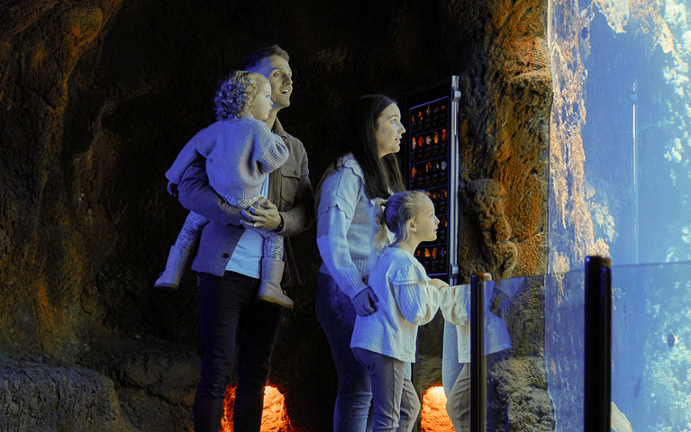 Een familie bekijkt een betoverend aquarium in Burgers Zoo. Met de VIP-KAART ontvang u korting op tickets voor Burgers' Zoo.