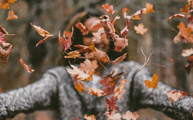 Een vrouw gooit een hoop herfstbladeren in de lucht in een herfstig bos