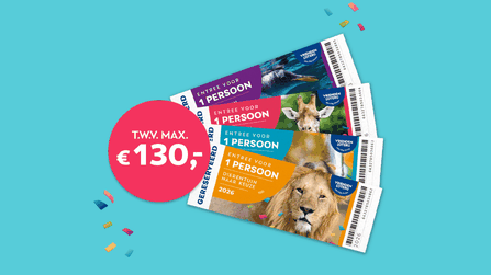 Dierentuin campagne