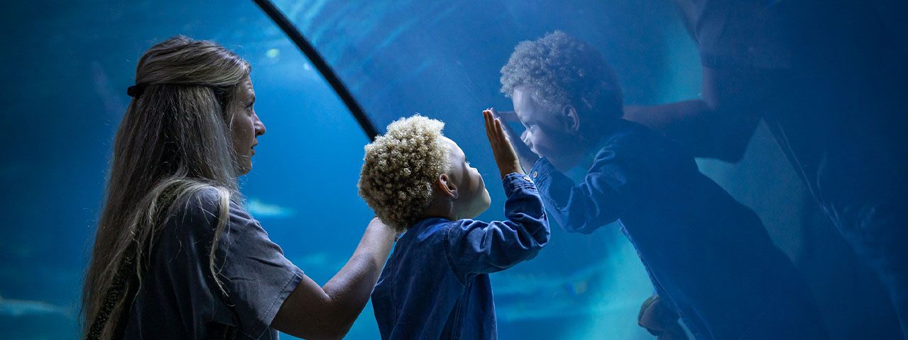Een vrouw en een jong kind kijken aandachtig naar een groot rond aquarium bij Blijdorp