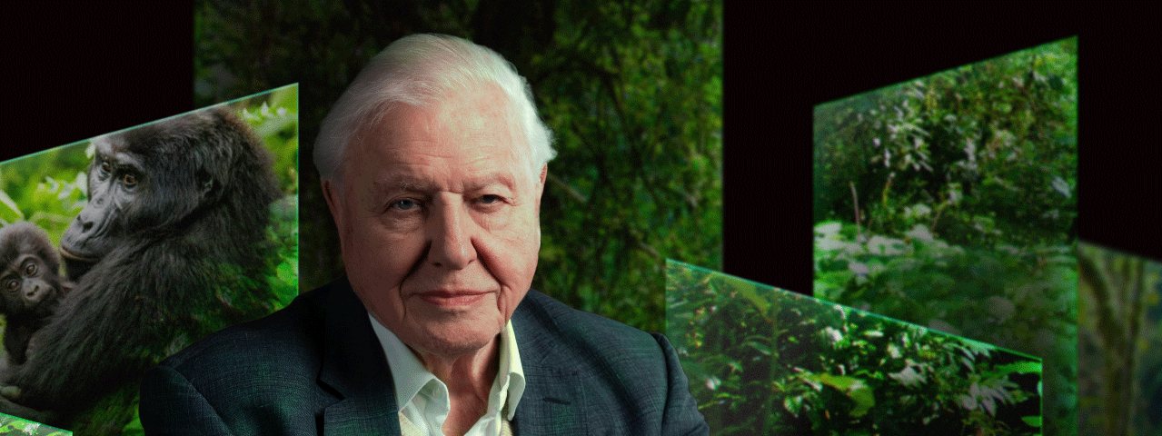 Sir David Attenborough voor schermen met beelden van een groene jungle