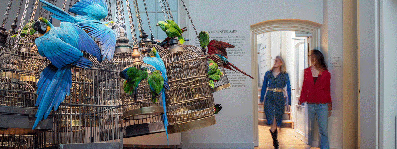 Twee vrouwen lopen een ruimte binnen met hangende vogelkooien vol kleurrijke papagaaien. Ontvang korting op tickets voor Art Zoo Museum in Amsterdam!