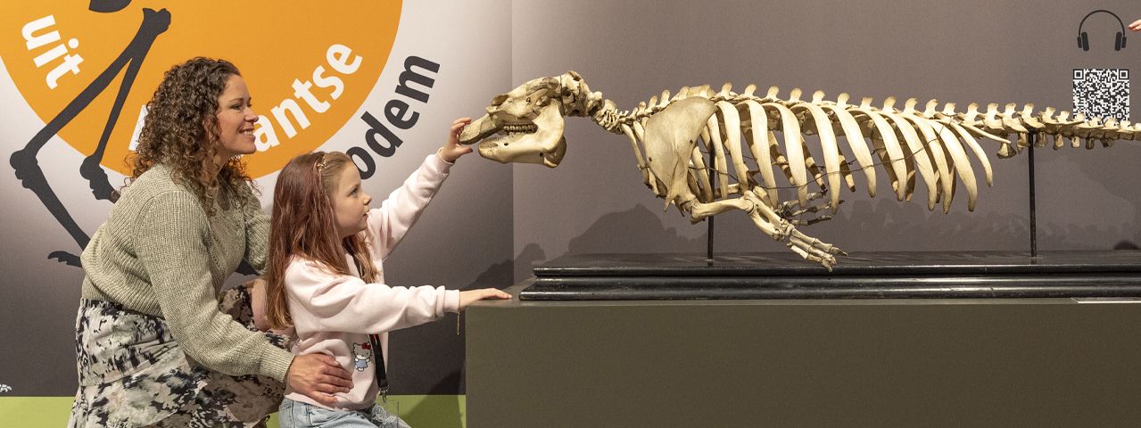 Een moeder en een kind raken een skelet aan van een dier in een tentoonstelling van Museum Klok & Peel.