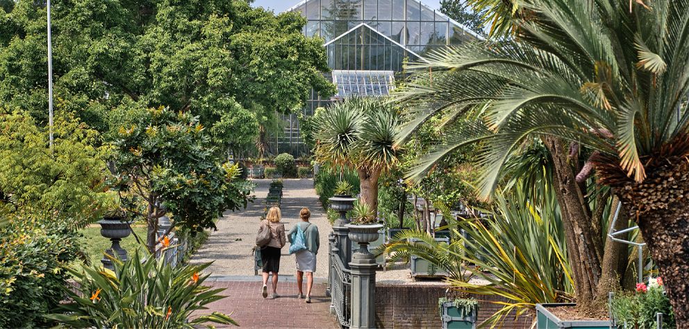 Hortus botanicus Leiden