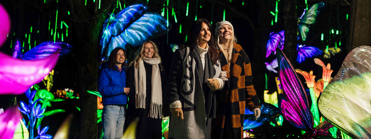 Vier vriendinnen in winterkleding lopen door een kleurrijke wereld vol lichtgevende kunstwerken.