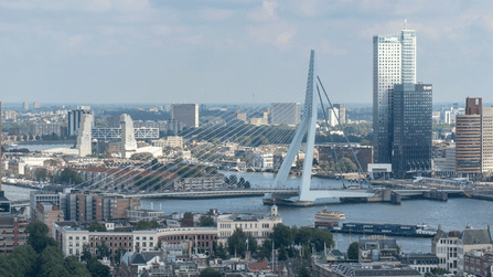 Zicht op de Erasmusbrug en de stad Rotterdam op een zonnige dag.