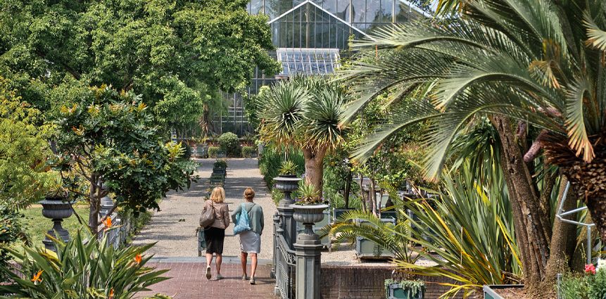 Hortus botanicus Leiden