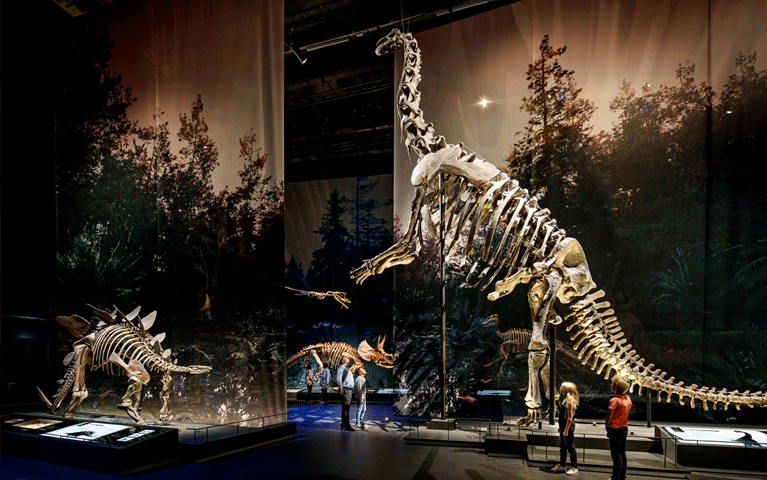 Bezoekers kijken naar indrukwekkende dinoskeletten in Naturalis Biodiversity Museum. Bezoek dit prachtige museum gratis met de VIP-KAART.