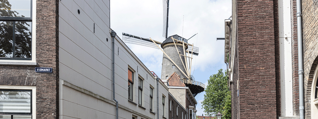 Een historische straat in Schiedam, met op de achtergrond de molen de Walvisch.